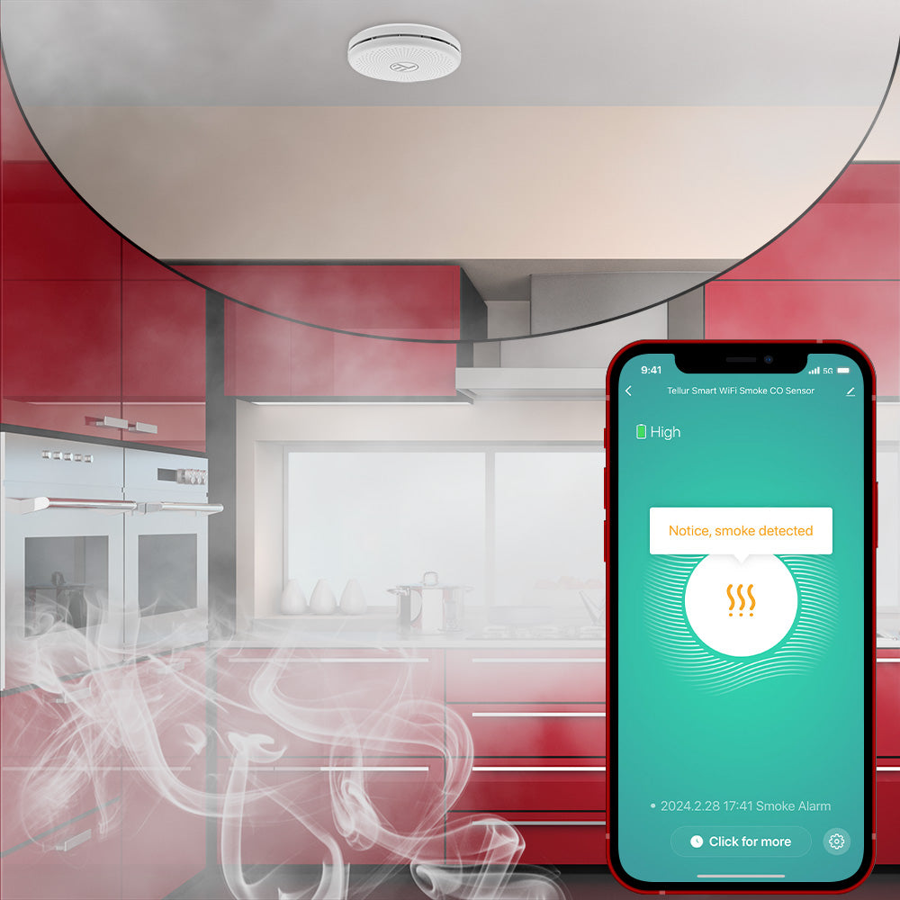 Smart WiFi Smoke and CO Sensor - TELLUR