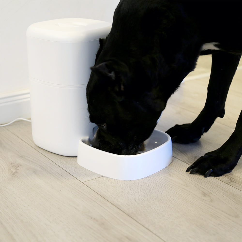 Smart WiFi Pet Feeder, UltraHD Camera, 4L, White - TELLUR