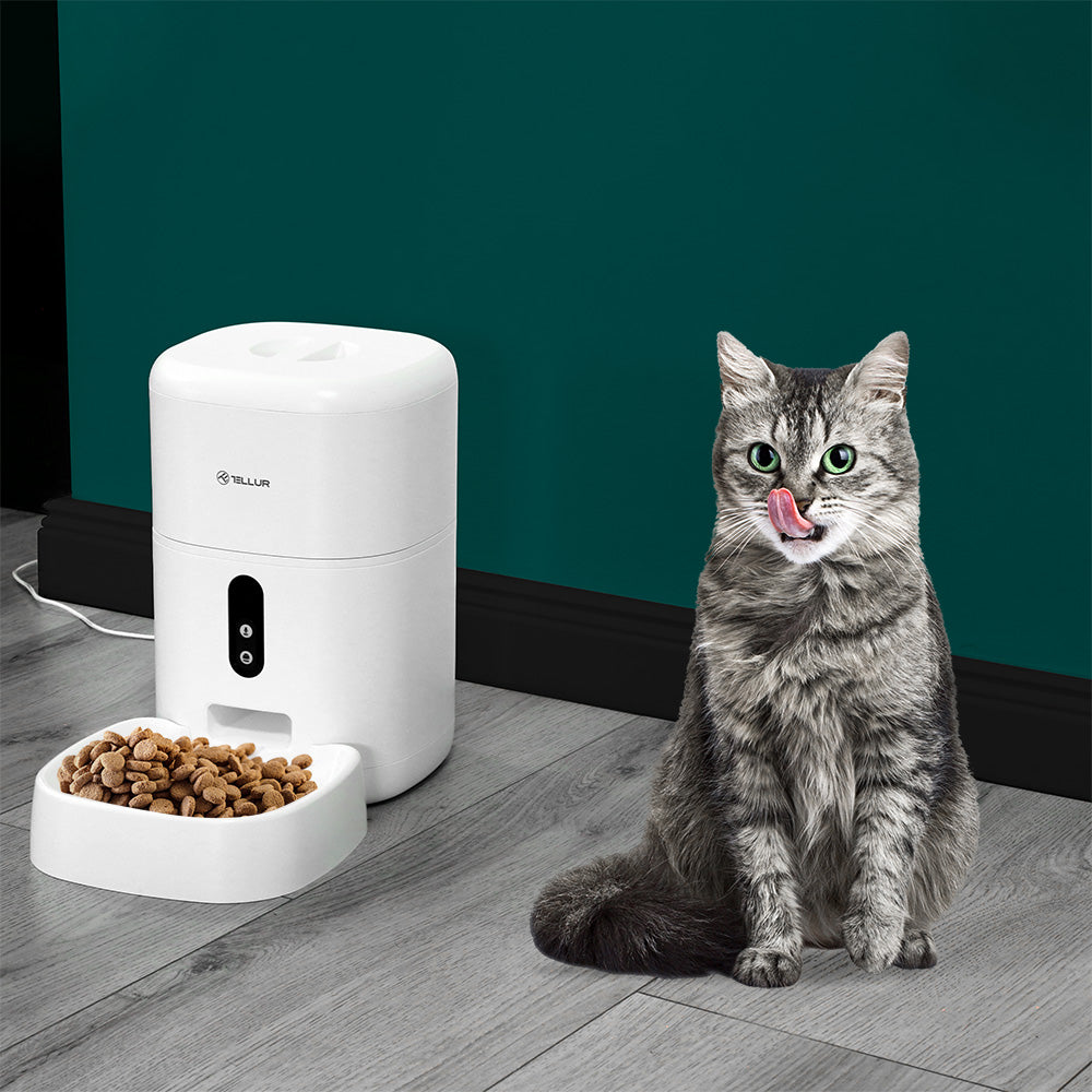 Smart WiFi Pet Feeder, UltraHD Camera, 4L, White - TELLUR