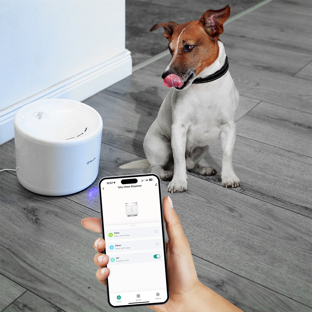 Smart WiFi Pet Water Dispenser, 2L, White - TELLUR