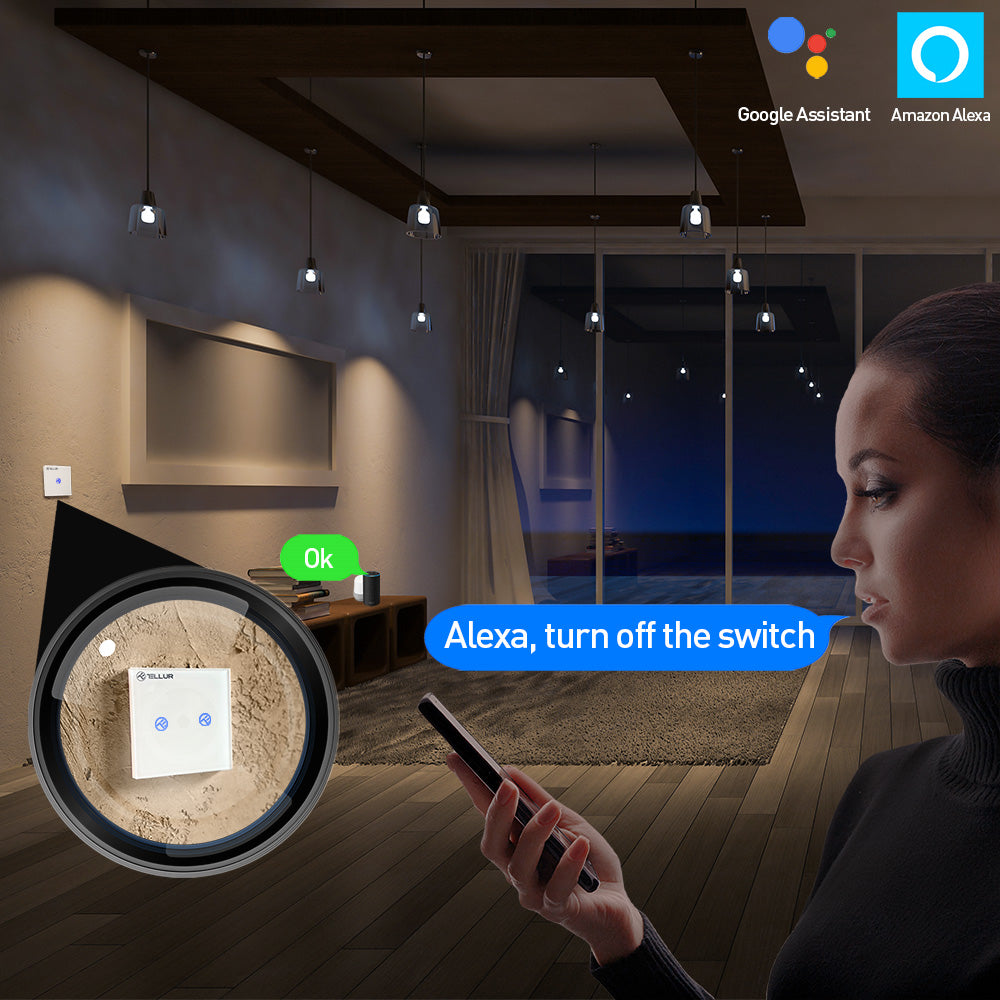 Smart WiFi switch, SS2N, 2 ports, 1800W - TELLUR