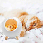 Children's night light, rechargeable, Cat